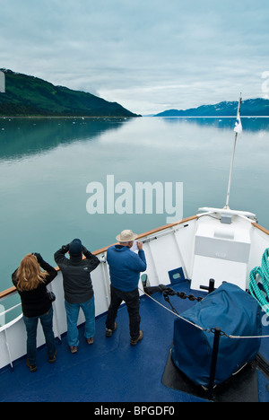 Leute suchen für Wildtiere vom Bug, College Fjord Cruise West Spirit of Columbia, Prince William Sound, Alaska. Stockfoto