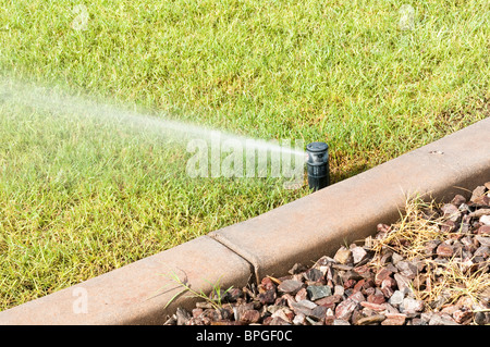 Eine automatische Bewässerungsanlage wird verwendet, um den Rasen in einem Stadtpark in Arizona zu Wasser. Stockfoto