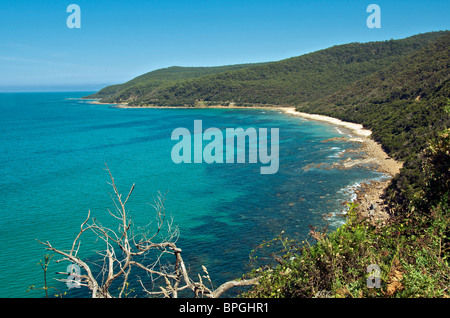 Great Ocean Road in der Nähe von Lorne Victoria Australien Stockfoto