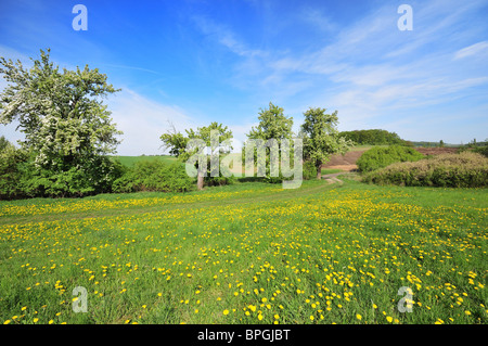 Schöne tschechische Landschaft im Frühling, Tschechische Republik Stockfoto