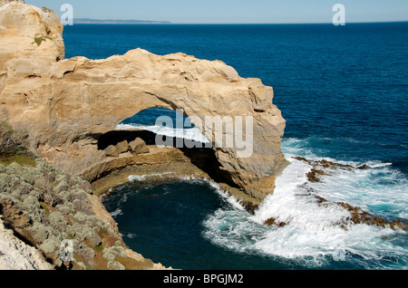 Der Bogen Port Campbell National Park Great Ocean Road Victoria Australia Stockfoto