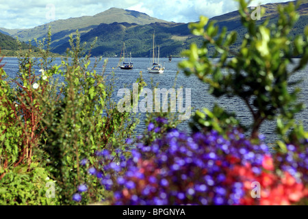 Loch Goil von Carrick Schloss mit Jachten verankert im Sommer Stockfoto