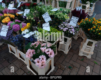 Surrey England Epsom Blume Marktstand Stockfoto