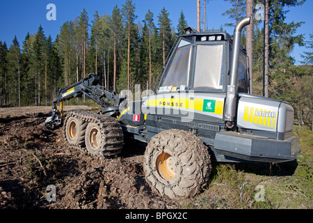 Ponsse Beaver Wald Mähdrescher am Kahlschlag Website, Finnland Stockfoto