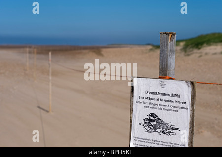 Zeichen auf abgesperrt Bereich Warnung Besucher bleiben frei von Verschachtelung Bereich am Strand bei Dornweiler Norfolk Mai Stockfoto