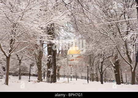 Schneebedeckte Bäume vor einem Regierungsgebäude, Boston Common, Massachusetts State House, Boston, Massachusetts, USA Stockfoto