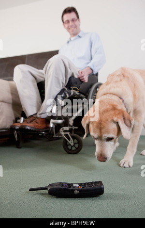 Service-Hund in der Nähe ein schnurloses Telefon mit einem Mann im Rollstuhl Stockfoto