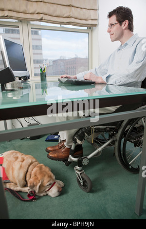 Mann im Rollstuhl arbeiten am Schreibtisch im home Office und einem Servicehund liegen in der Nähe von ihm Stockfoto