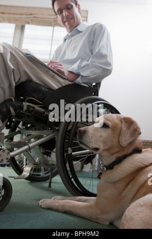 Hund sitzt in der Nähe ein Mann im Rollstuhl-Service Stockfoto
