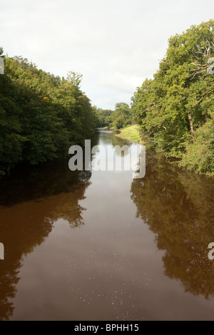 Fluss Usk Glanusk Park, Crickhowell Powys, Wales Stockfoto