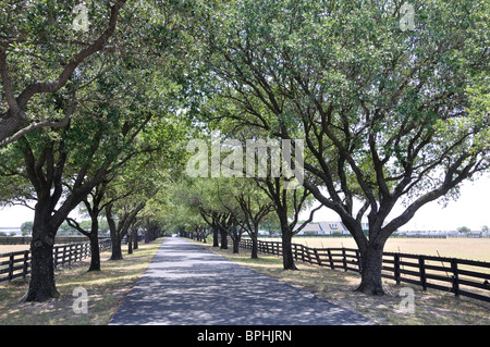 Southfork Ranch, Texas, USA - Form beliebten TV-Serie "Dallas" Stockfoto