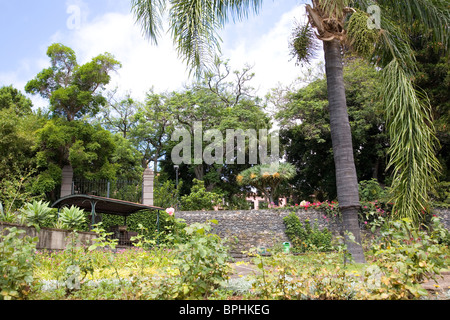 Parque de Santa Catarina in Funchal Stockfoto