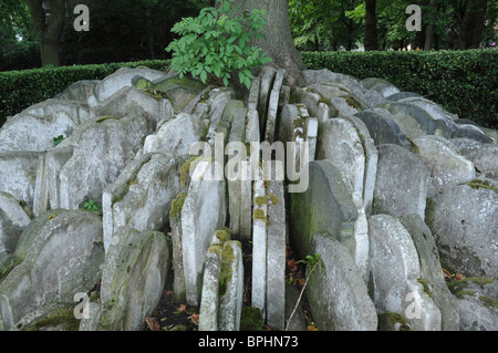 Robuster Baum, alte Kirche St. Pancras, Pancras Road, Camden, London, England, Vereinigtes Königreich Stockfoto