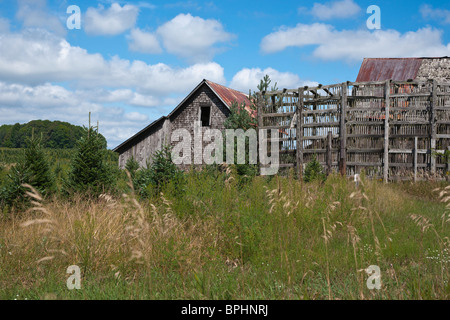 Ein verlassenes Haus auf dem Land mit alten Ruinen und einer Scheune blauer Himmel mit geschwollenen Wolken niemand in den USA horizontale ländliche Landschaft Hi-res Stockfoto