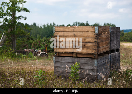 Apfelernte Obst Holzkisten voller Äpfel Feldgarten mit Maschinen Export Früchte in Michigan MI USA horizontal niemand Hi-res Stockfoto