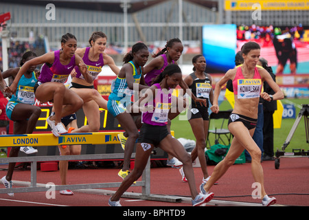 Katarzyna KOWALSKA 3000m Hindernislauf Frauen Rennen in Aviva London Grand Prix, Crystal Palace, London. August 2010. Stockfoto