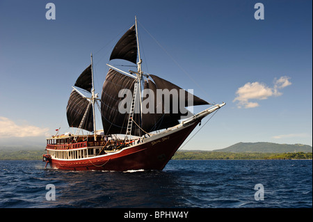 Tauchsafari Tauchboot "The Seven Seas", Komodo National Park, Nusa Tenggara, Indonesien. Stockfoto