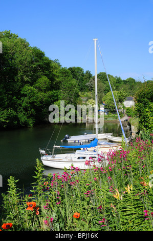 Ein ruhiger Bach in Porth Navas, Helford in Cornwall, Großbritannien Stockfoto