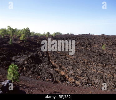 Vulkanische Larve, Parque Nacional del Teide, Teneriffa, Kanarische Inseln, Spanien Stockfoto
