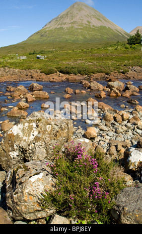 Glamaig, einen kegelförmigen Berg auf der Isle Of Skye mit dem Sligachan Fluss im Vordergrund. Stockfoto