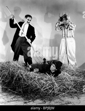 GROUCHO MARX, Chico Marx, HARPO MARX, EIN TAG AUF DER RENNBAHN, 1937 Stockfoto