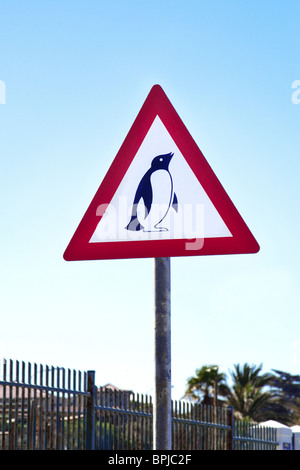 Pinguin-Warnschild, Boulders Beach, Cape Town, Cape Peninsula, Western Cape, Südafrika, Afrika Stockfoto