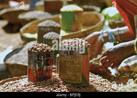 Bohnen im Stall am lokalen Markt, Stammesregion in Koraput Bezirk in Orissa, Indien, Südasien Stockfoto