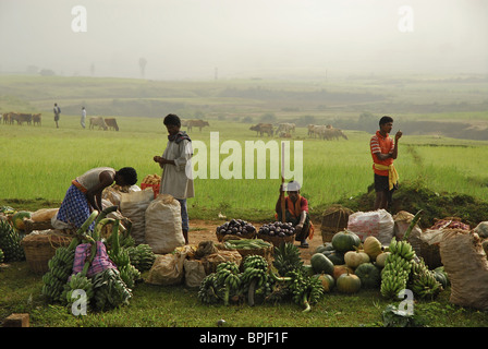 Marktstände vor grünen Reisfeldern, Stammesregion in Koraput Bezirk in Orissa, Indien, Südasien Stockfoto