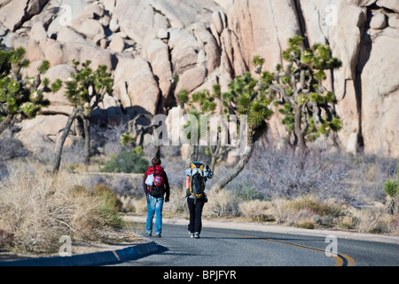 Bergsteiger zu Fuß in Joshua Tree Nationalpark, Kalifornien, USA Stockfoto