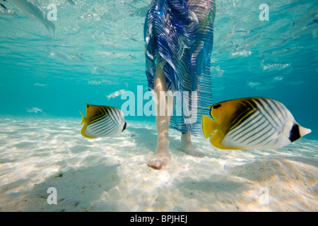 Südsee, Bora Bora, weibliche Touristen zu Fuß im Ozean. Stockfoto