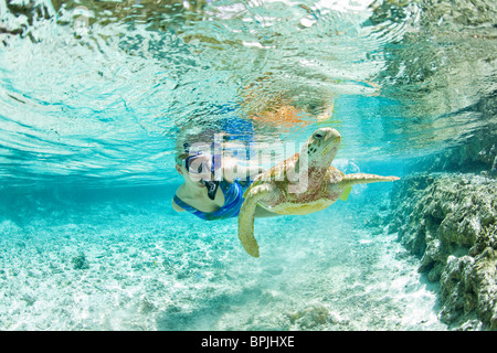 Schnorcheln Sie im Le Meridien Turle Erhaltung Lagune mit grünen Meeresschildkröten (Chelonia Mydas) Borabora, Französisch-Polynesien Stockfoto