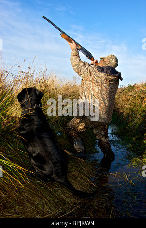 Gans-Jäger in Tarnkleidung mit autoloading Schrotflinte Zeichnung Wulst auf eingehende Gänse aus Graben blind Stockfoto