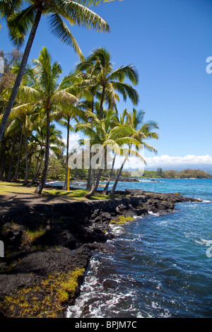 Richardson Ocean Center, Leleiwi Beach Park, Hilo, Insel Hawaii Stockfoto