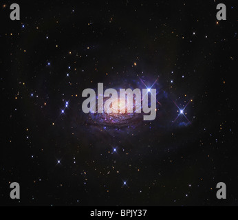 Die Sonnenblumen Galaxie Stockfoto