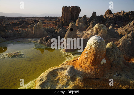 11. Februar 2008 - geothermische Gebiet Dallol, Danakil-Senke, Äthiopien. Stockfoto