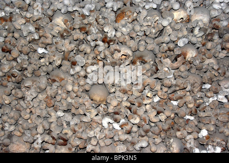 Knochen und Schädel von Beinhaus in Mikulov Stadt Stockfoto