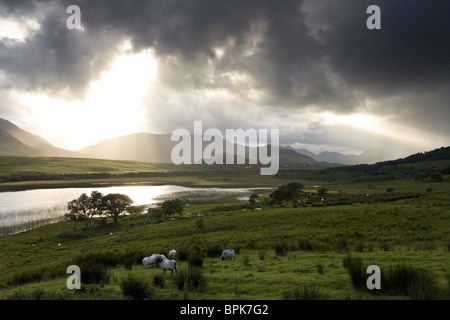 Lough Corrib, Connemara, Co. Galway, Irland, Europa Stockfoto