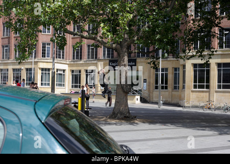 Unterwegs entlang Waterloo Road in London versucht ein junger Mann so hoch wie möglich auf einen Baum zu springen, während seine Freunde zu sehen. Stockfoto