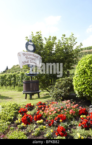 Garten, Schloss Neuweier, Baden-Baden, Schwarzwald, Baden-Württemberg, Deutschland Stockfoto