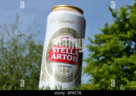 Kann Stella Artois Stockfoto