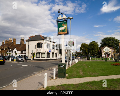 Datchet Dorfanger, Berkshire, England Stockfoto