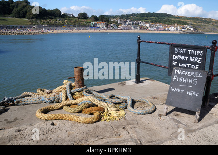 Schilder, Werbung, Bootsfahrten und Makrelen angeln bei Lyme Regis, Dorset Stockfoto