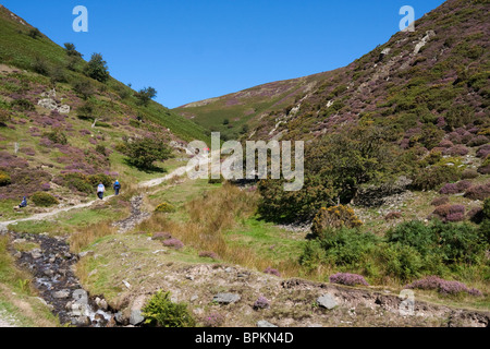 Die lange Mynd aus Mill Valley in Shropshire kardieren. Stockfoto