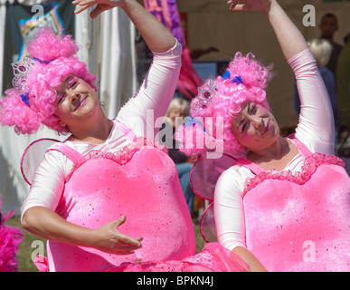 Die sehr rosa Sugarplump Feen in Suffolk stolz Stockfoto