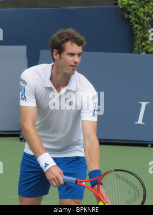 ANDY MURRAY (Großbritannien) gegen ROGER FEDERER ROGERS CUP-Finale in TORONTO, Kanada, 15. August 2010 Stockfoto