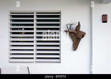 Louvered Fenster, Isabel Segunda, Vieques, Puerto Rico Stockfoto