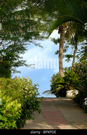 Seagate Hotel, Isabel Segunda, Vieques, Puerto Rico Stockfoto