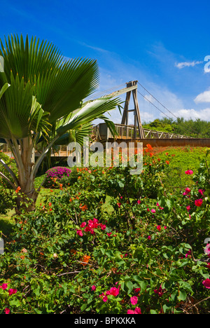 Die Hanapepe schwingende Brücke, Hanapepe, Insel Kauai, Hawaii Stockfoto