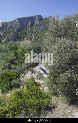 Nestos Fluss, geschützten Bereich "schlängelt sich der Nestos Fluss", Nord-Griechenland Stockfoto