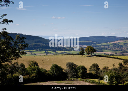 Blick in Richtung der Brecon Beacons und Wigmore aus einer Forststraße in Hazel Coppice, Teil des Mortimer-Wald, vor den Toren Ludlow Stockfoto